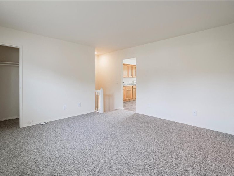 Gallery Photo 12